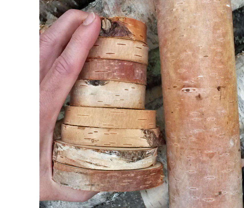 ca 20 mm tjocka puckar sågade från björkstam,